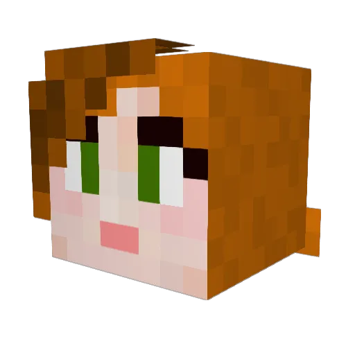 LovethePumpkin Minecraft avatar head, 3D render
