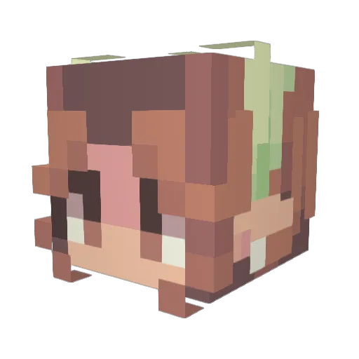 Lovezi Minecraft avatar head, 3D render