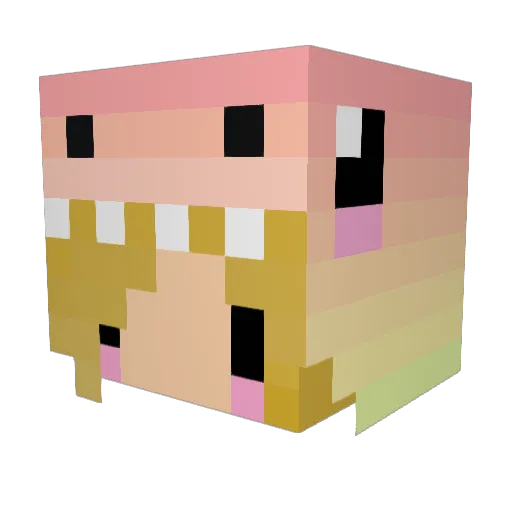 LovleySlippers Minecraft avatar head, 3D render