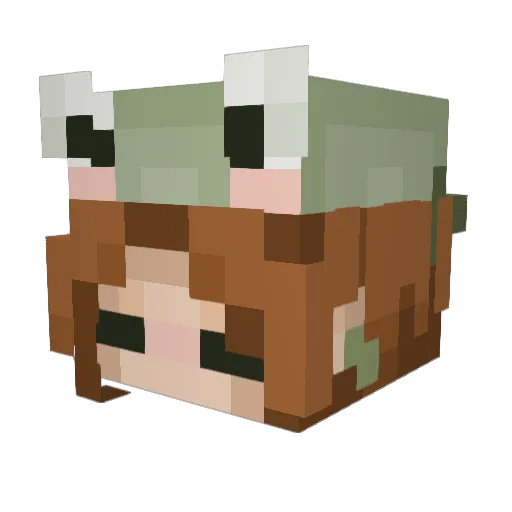 LowIQFairy Minecraft avatar head, 3D render