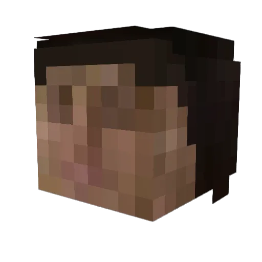 LowKey_Warden Minecraft avatar head, 3D render
