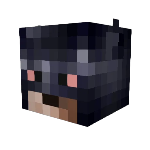 LowSodium1 Minecraft avatar head, 3D render