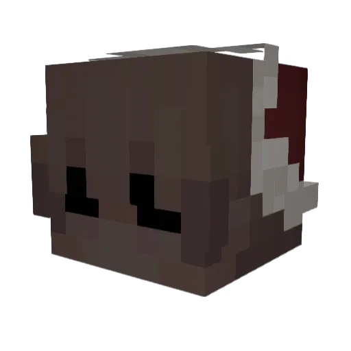 LowVision_ Minecraft avatar head, 3D render