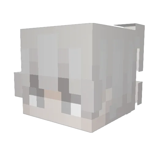 Low_Budget_Ninja Minecraft avatar head, 3D render