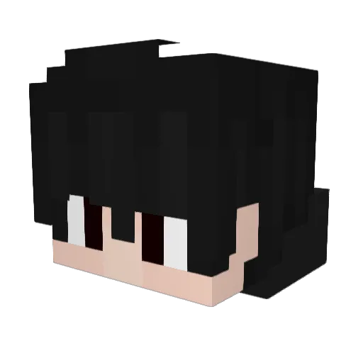 Low_Hz Minecraft avatar head, 3D render