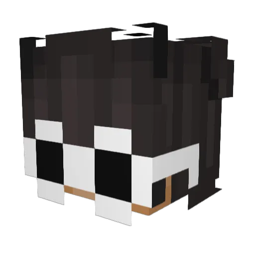 Low_pixels Minecraft avatar head, 3D render