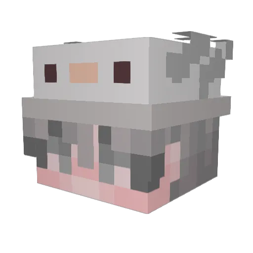 LowerDown Minecraft avatar head, 3D render