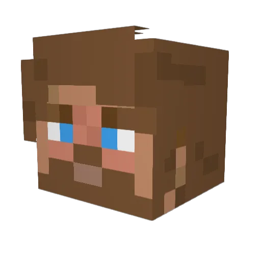 Lowercase98 Minecraft avatar head, 3D render