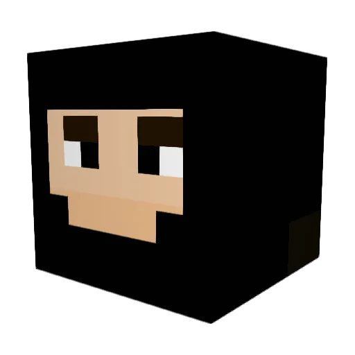 LoweredWorkz Minecraft avatar head, 3D render