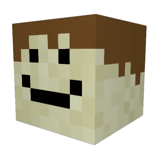 Lowex03 Minecraft avatar head, 3D render