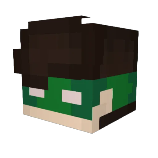 Lowgyn Minecraft avatar head, 3D render