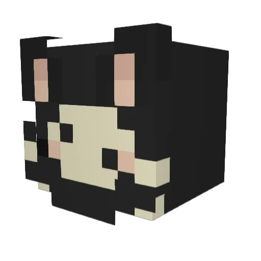 LowieIsTarnished Minecraft avatar head, 3D render