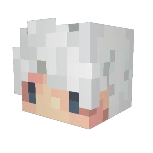 LowjiO8 Minecraft avatar head, 3D render