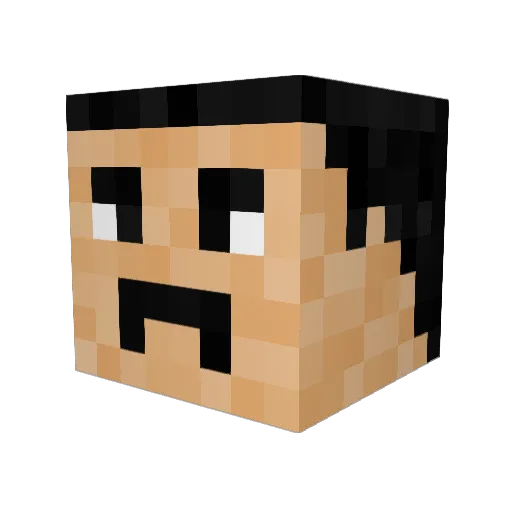 LowkaFAN Minecraft avatar head, 3D render