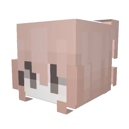 Lowkey Minecraft avatar head, 3D render