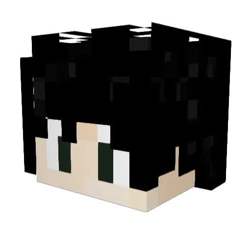 LowkeyBroke Minecraft avatar head, 3D render