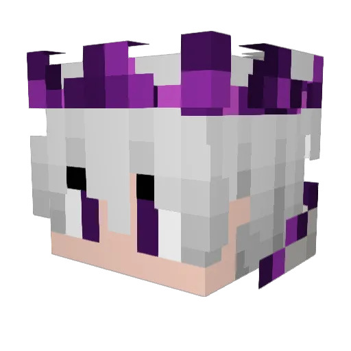 LowkeyLungo Minecraft avatar head, 3D render