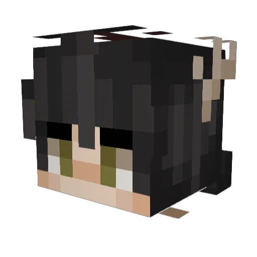 Lowkey_Barmy Minecraft avatar head, 3D render