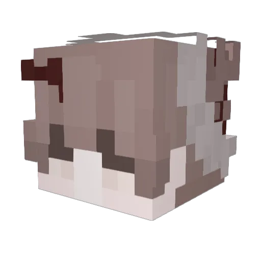 Lowlua Minecraft avatar head, 3D render