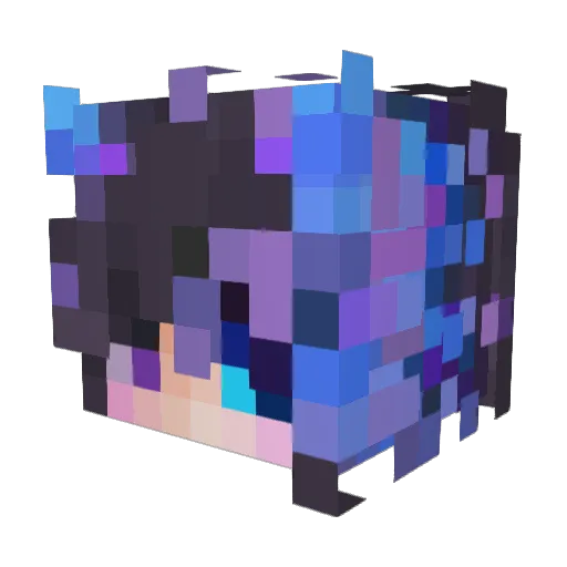 Lowlywonders_ Minecraft avatar head, 3D render