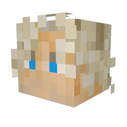 Lox1568 Minecraft avatar head, 3D render