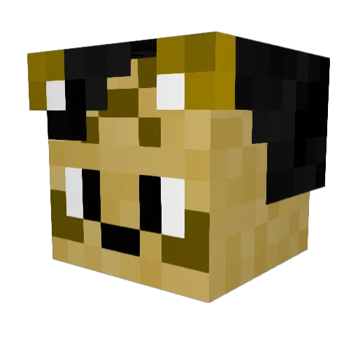 Lox_Yaz Minecraft avatar head, 3D render