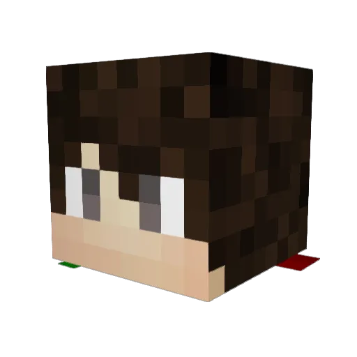 Loxicarus Minecraft avatar head, 3D render