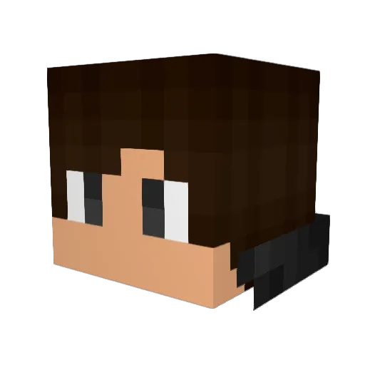 Loxide_007 Minecraft avatar head, 3D render
