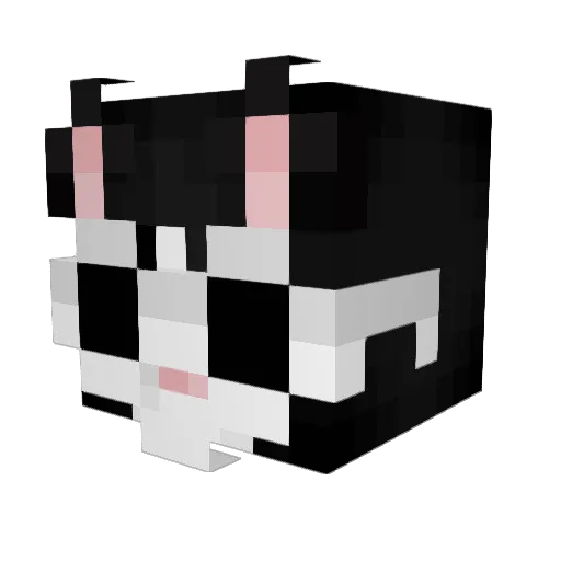 LoyaltyWho Minecraft avatar head, 3D render