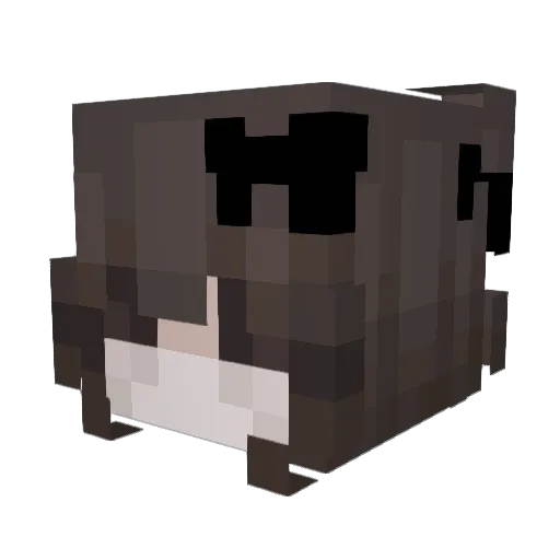 Loyrloy Minecraft avatar head, 3D render