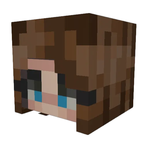 LozS_31 Minecraft avatar head, 3D render