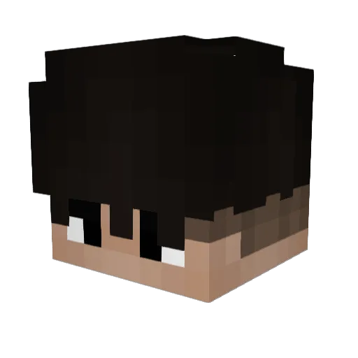 Lozahess Minecraft avatar head, 3D render