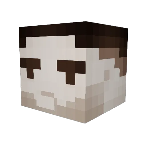 Lozic Minecraft avatar head, 3D render