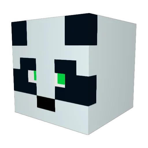 Lozz1809 Minecraft avatar head, 3D render