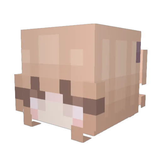 Lozza_05 Minecraft avatar head, 3D render