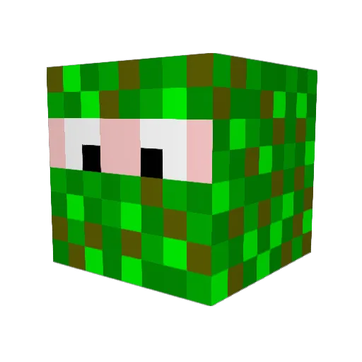Lp573 Minecraft avatar head, 3D render