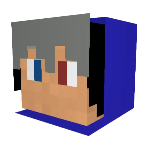 Lplane Minecraft avatar head, 3D render