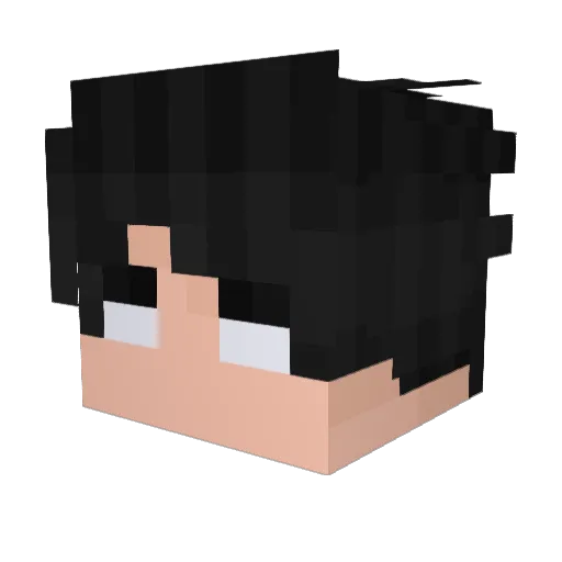 Lpvp Minecraft avatar head, 3D render