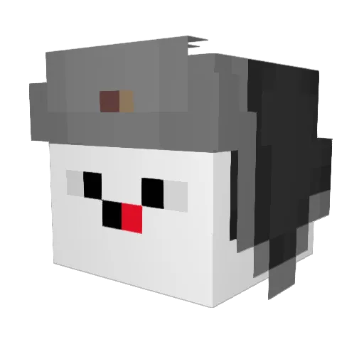 LpxHater Minecraft avatar head, 3D render