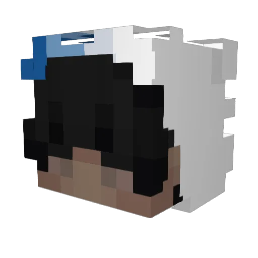 Lqwse Minecraft avatar head, 3D render