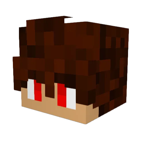 LrStop Minecraft avatar head, 3D render
