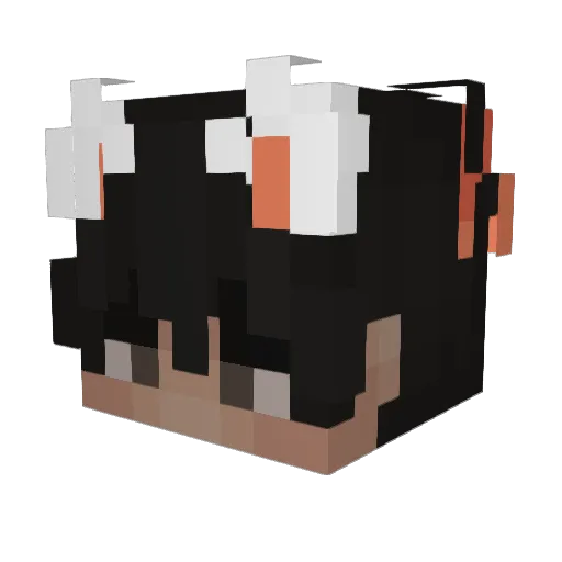 Lsanders1017 Minecraft avatar head, 3D render
