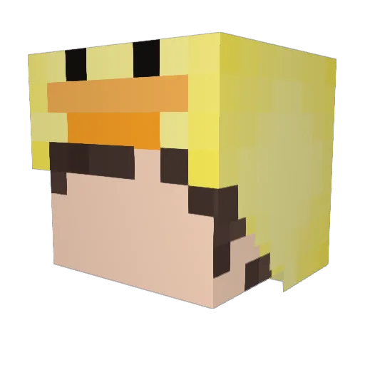 LscZaTrainer01 Minecraft avatar head, 3D render