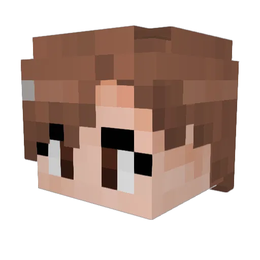 Lsj537 Minecraft avatar head, 3D render