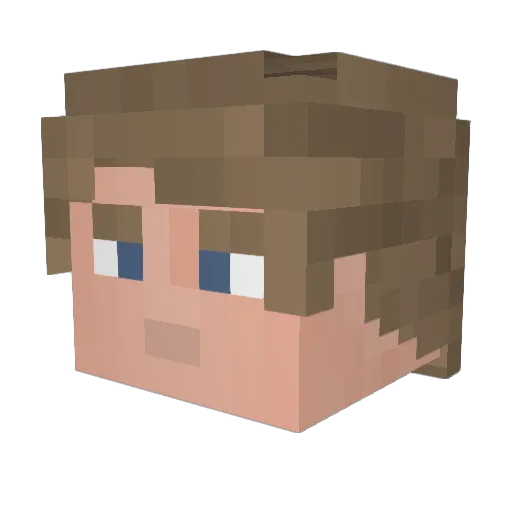 Lsky48 Minecraft avatar head, 3D render