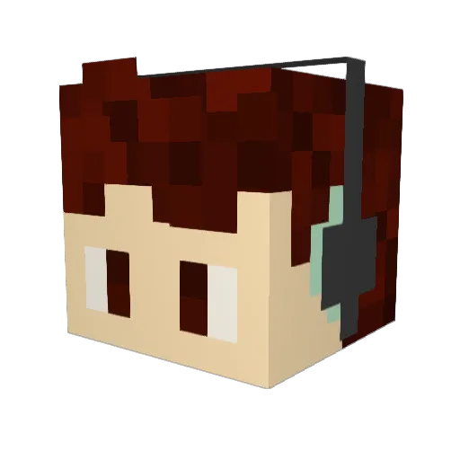 Lsouth50 Minecraft avatar head, 3D render