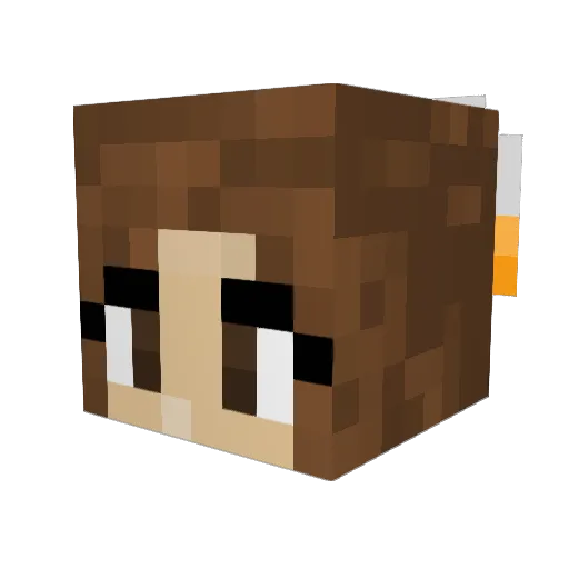 Lsw238 Minecraft avatar head, 3D render