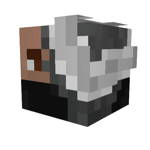 Lszymor Minecraft avatar head, 3D render