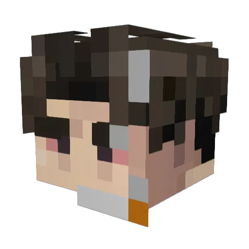 LtTofuBoy Minecraft avatar head, 3D render