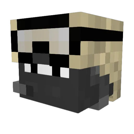 Lt_Logick Minecraft avatar head, 3D render